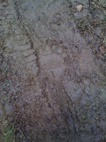 /album/fotogaleria-hrb/img-3200-jpg1/